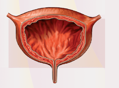 Tekenen van cystitis